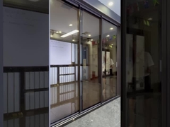 Full View Narrow Frame Sliding Door